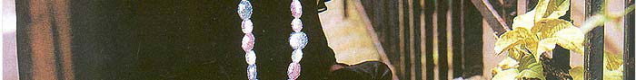 Punita Trrikha