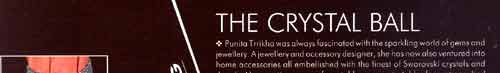 Punita Trrikha